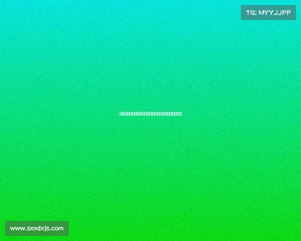 西汉姆联崛起之路：从英超保级队到欧洲赛场的强劲挑战